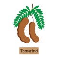 tamarind fruit with tamarind sauce