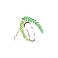Tamarind icon logo vector Royalty Free Stock Photo