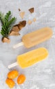 Tamarind and Jobito Fruit Popsicle with Tamarind and Jobito Fruit in Gray Background