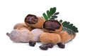 Tamarind with leaf and seeds, tropical fruit isolated on white