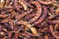 Tamarind peel and tamarind, organic tamarind nature, tamarind heap