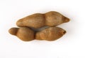 Tamarind tree produces brown, pod-like fruits that contain a sweet, tangy pulp