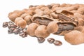 Tamarind on a white background. Clipping path Royalty Free Stock Photo