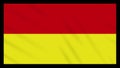 Tamil Eelam bicolor flag waving cloth, ideal for background, loop
