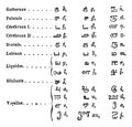 Tamil language Alphabets vintage engraving