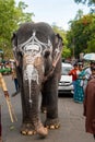 Tamil Temple Elephant Walking in Street