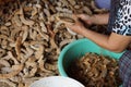 Tammarind peeling sour agriculture fruits in Thailand