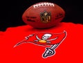 Tampa Bay Buccaneers Royalty Free Stock Photo