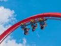 People having fun amazing Sheikra rollercoaster at Busch Gardens 9