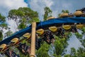 People having fun amazing Montu rollercoaster at Busch Gardens 29 Royalty Free Stock Photo