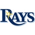 Tampa bay rays sports logo