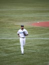 Tampa Bay Rays at Toronto Blue Jays