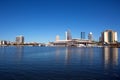 Tampa Convention Center And City Skyline