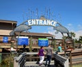 Tampa Electric`s Manatee Viewing Center