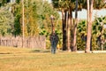 Nice giraffe with shocking height on green meadow at Bush Gardens Tampa Bay.