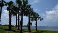 Tampa bay Westshore Royalty Free Stock Photo