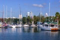 Tampa Skyline