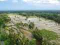 Tampaksiring, Gianyar Regency, Bali, Indonesia from air, drone shot