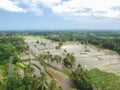 Tampaksiring, Gianyar Regency, Bali, Indonesia from air, drone shot