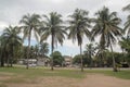 Tampico, Mexico Coconut Palms