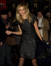 Tamsin Egerton Royalty Free Stock Photo