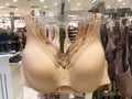 Tan brown bra hanging in underwear store Royalty Free Stock Photo