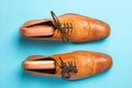 Tan fashionable male brogue shoes Royalty Free Stock Photo