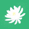 Beautiful Tan Hua flower illustration