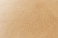 Tan, light, beige, natural color grainy, heavy grain calf cow leather texture and background Royalty Free Stock Photo