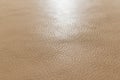 Tan, light, beige, natural color grainy, heavy grain calf cow leather texture and background Royalty Free Stock Photo