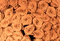 Tan and peach rosesbackground pattern Royalty Free Stock Photo