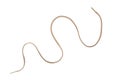 Tan Shoelace curved - isolated