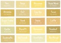 Tan Tone Color Shade Background with Code and Name