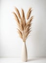 tan vase with feathers and pampas on it