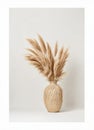 tan vase with feathers and pampas on it