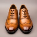 tan wingtip lace up shoes Royalty Free Stock Photo