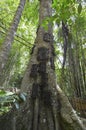 Tana Toraja, Sulawesi, Indonesia