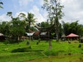 Tana Toraja village, tongkonan houses and buildings. Kete Kesu, Rantepao, Sulawesi, Indonesia