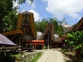 Tana Toraja village, tongkonan houses and buildings. Kete Kesu, Rantepao, Sulawesi, Indonesia