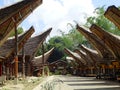 Tana Toraja village, tongkonan houses and buildings. Kete Kesu, Rantepao, Sulawesi, Indonesia