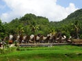 Tana Toraja village, tongkonan houses and buildings. Kete Kesu, Rantepao, Sulawesi, Indonesia