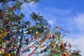 Tanabata festival decoration, Kyoto Japan.