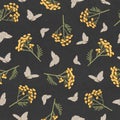 Tanacetum and butterflies on a black background. Seamless pattern with flowers of tansy and butterflies. Botanical hand drawn
