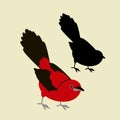 Tanager bird vector illustration flat style Royalty Free Stock Photo