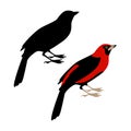 Tanager vector illustration Flat style black Royalty Free Stock Photo