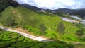 The Tanah Tinggi Cameron Highlands Tea Plantation Royalty Free Stock Photo