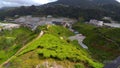 The Tanah Tinggi Cameron Highlands Tea Plantation Royalty Free Stock Photo