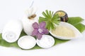Tanaka skin with natural herbs. Royalty Free Stock Photo