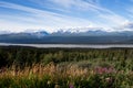 Tanana river and Chugach range Royalty Free Stock Photo