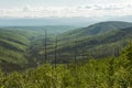 Tanana Valley State Forest, Alaska Royalty Free Stock Photo